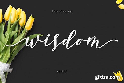 Wisdom Script Font Wisdom Script Font