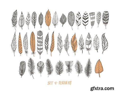 Collection of Hand-Drawn Decorative Feathers Collection of Hand-Drawn Decorative Feathers