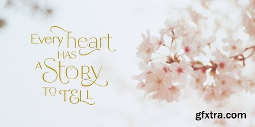 Tresor Font Family Tresor Font Family