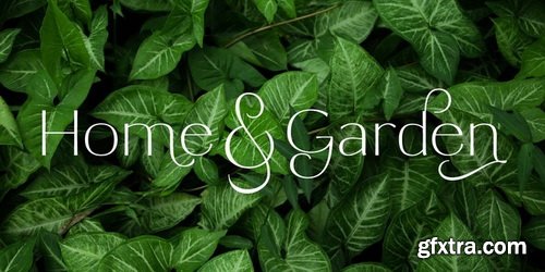 Tresor Font Family Tresor Font Family