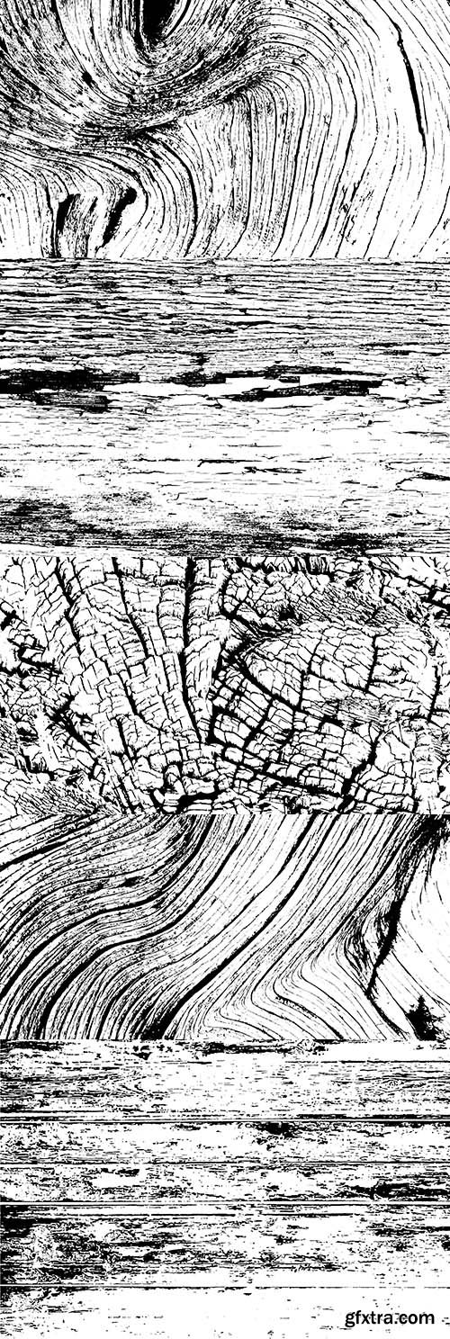 Old berth and rings on texture grunge tree
