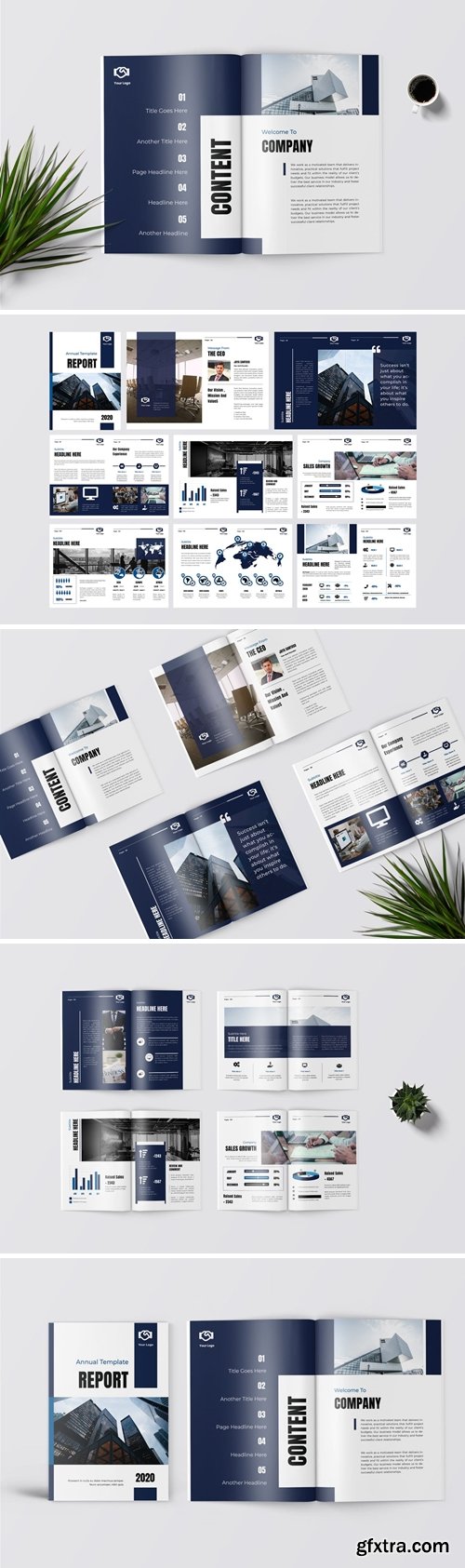 Biru - Business Annual Report