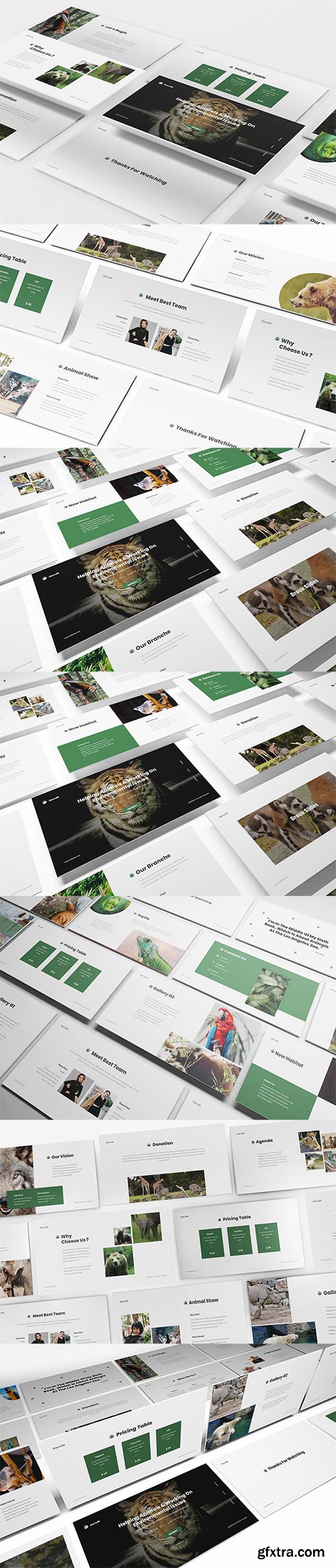 Zoo Powerpoint Template Zoo Powerpoint Template