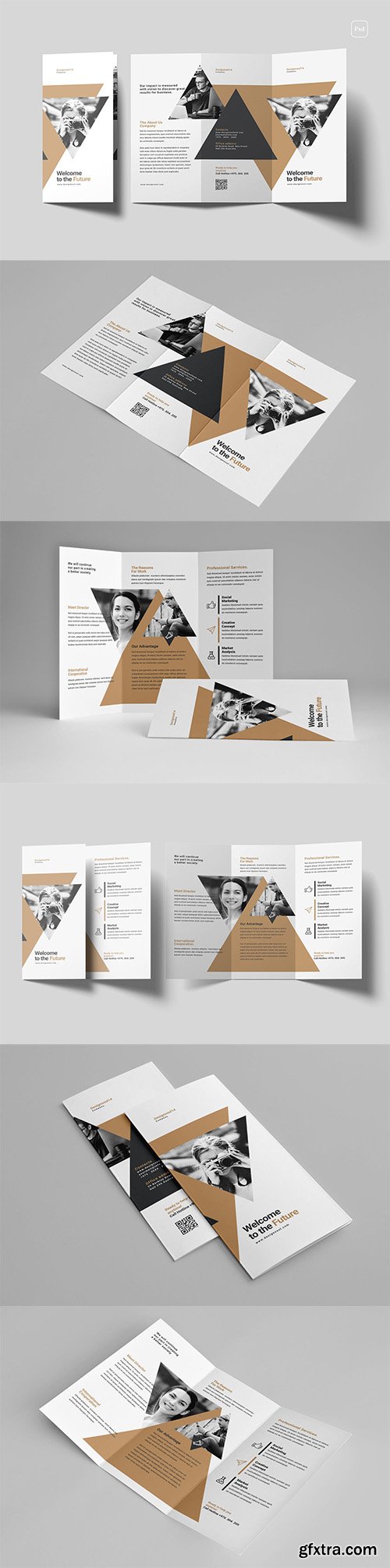 Trifold Brochure