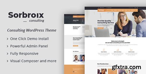 ThemeForest - Sorbroix v1.0 - Business Consulting WordPress Theme (Update: 4 March 20) - 21200725