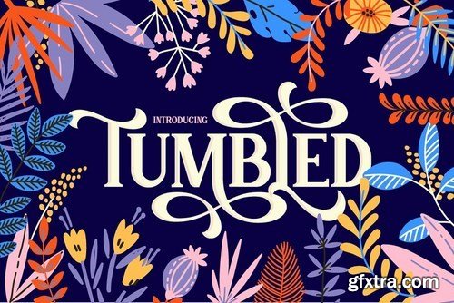 CM - Tumbled Serif Font 4667601