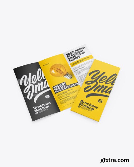 Two Paper Brochures Mockup 56628
