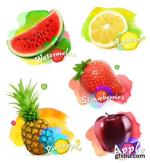 Fruit Berries Watercolor Vector Illustration Set