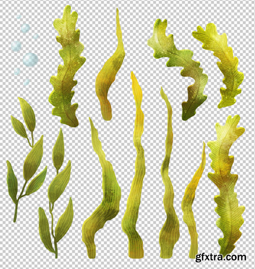 seaweed-cartoon-clipart-collection_147671-62 seaweed-cartoon-clipart-collection_147671-62