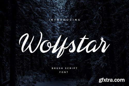 Wolfstar Modern Script Handwritten Font