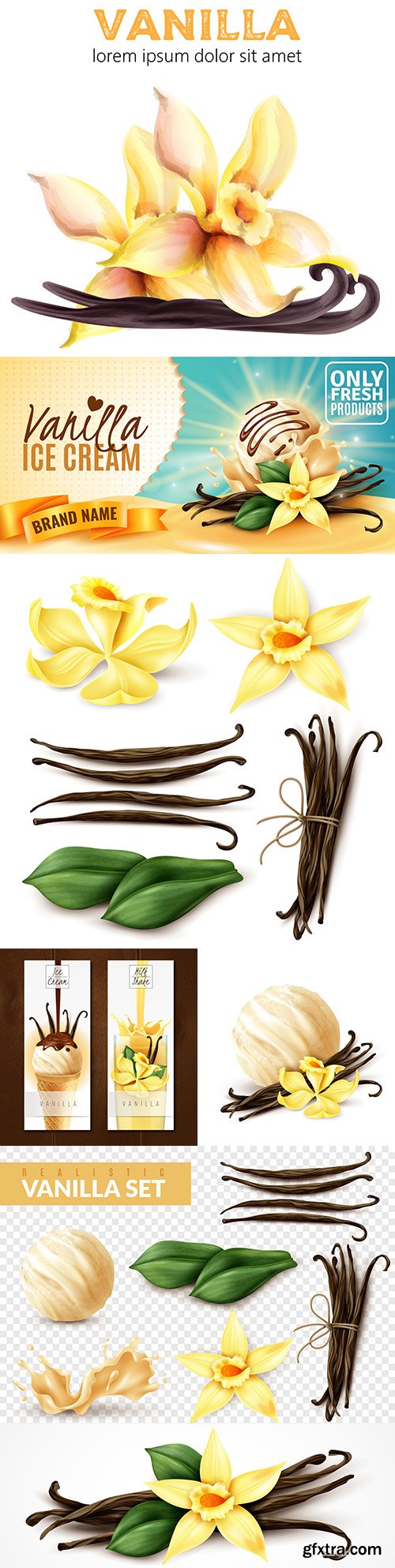 Vanilla realistic set yellow flowers and fragrant beans
