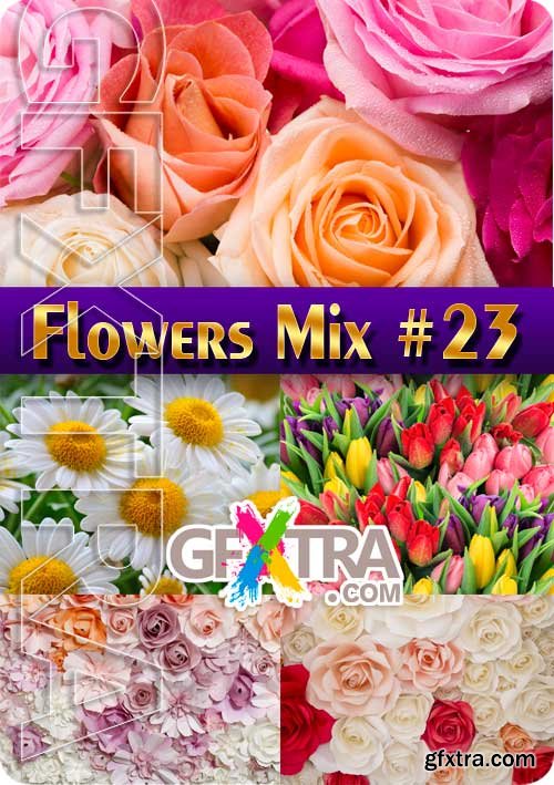 Flowers Mix #23 - Stock Photo