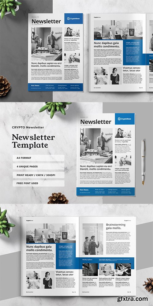 Newsletter Template Newsletter Template