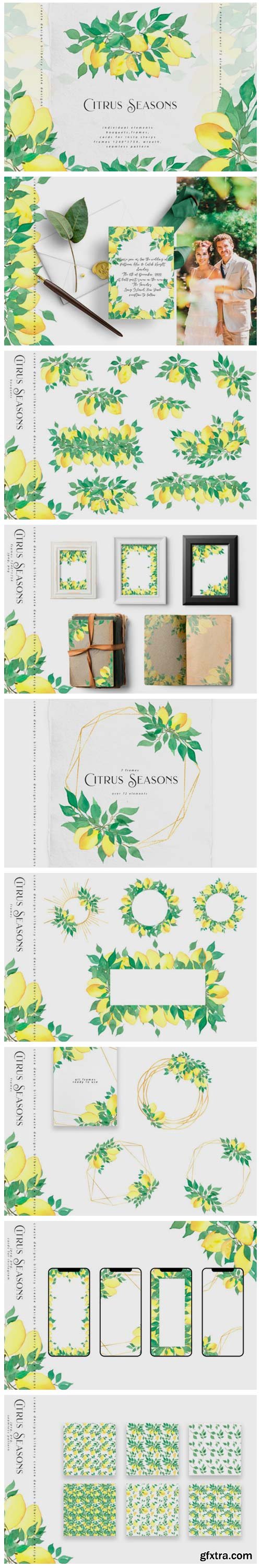 Citrus Seasons Collection 3761690