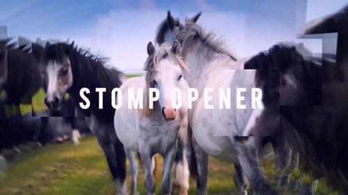 Stomp Opener - 11959138