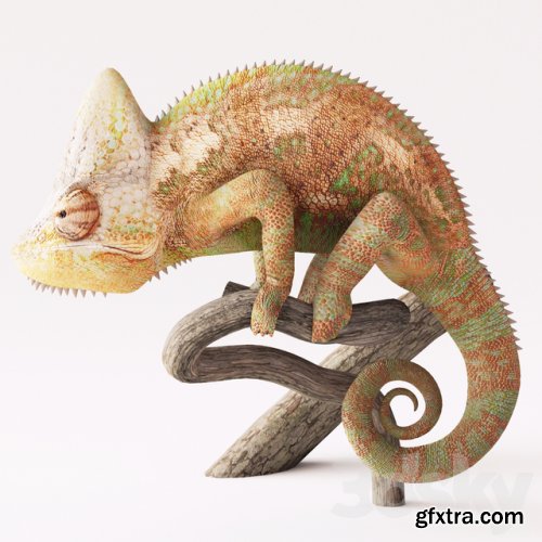 Decorative set, chameleon