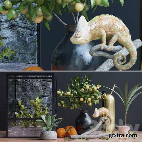 Decorative set, chameleon