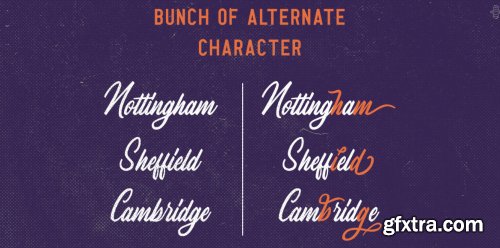 Greyspark Complete Family