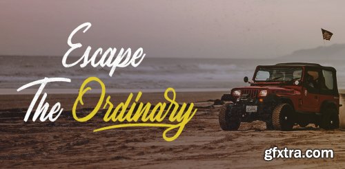 Greyspark Complete Family