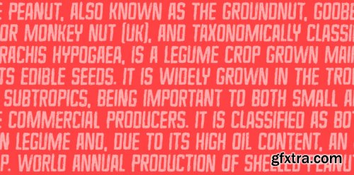 Killer Garbage Complete Family