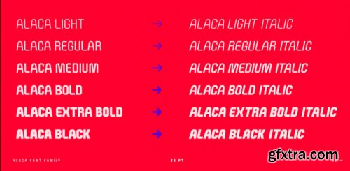 Alaca Complete Family