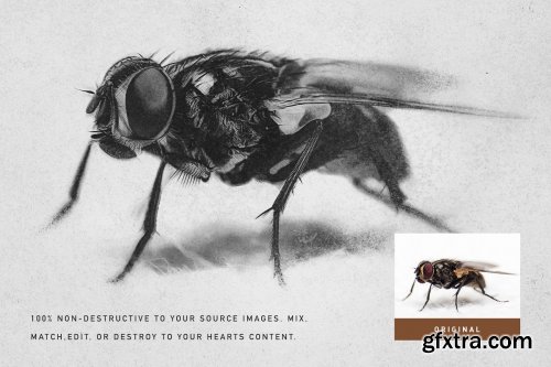 CreativeMarket - OBSIDIAN Charcoal Photoshop Actions 4530907