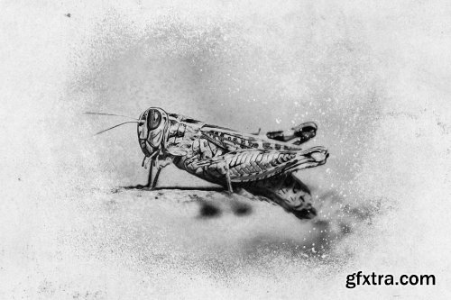 CreativeMarket - OBSIDIAN Charcoal Photoshop Actions 4530907