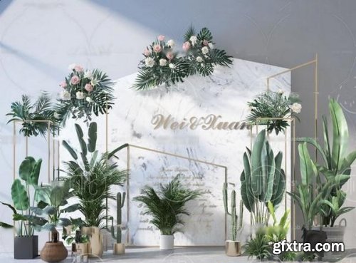 Decor for Wedding / Birthday 15