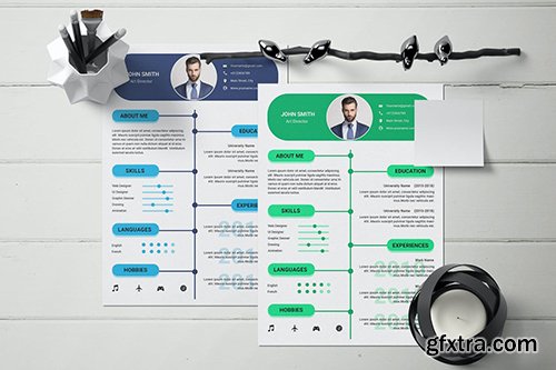 Professional curriculum vitae template Professional curriculum vitae template
