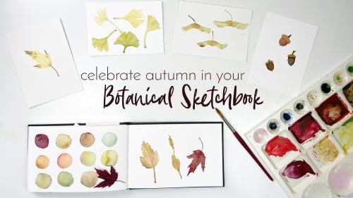 SkillShare - Celebrate Autumn in Your Botanical Sketchbook - 605717080