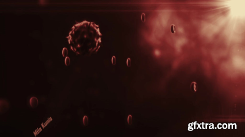 f-113311-1377 f-113311-1377