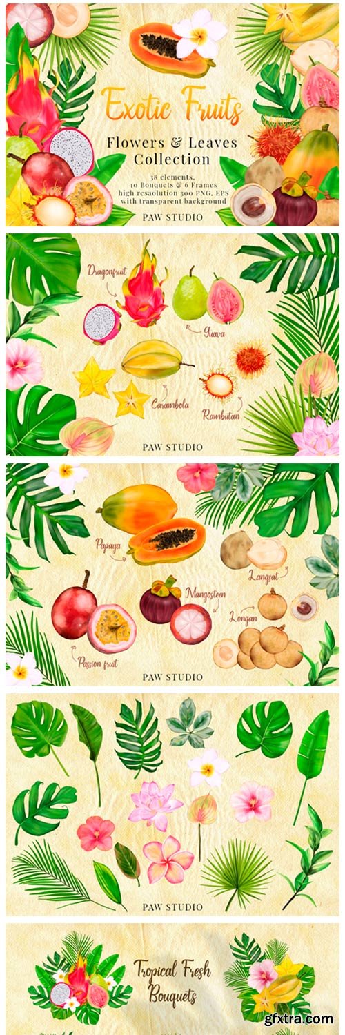 Tropical Graphic Fruits, Flowers, Leaves 3863622 Tropical Graphic Fruits, Flowers, Leaves 3863622