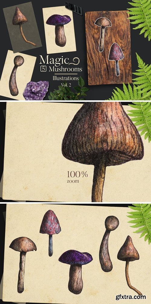 Magic Mushrooms Illustrations 2