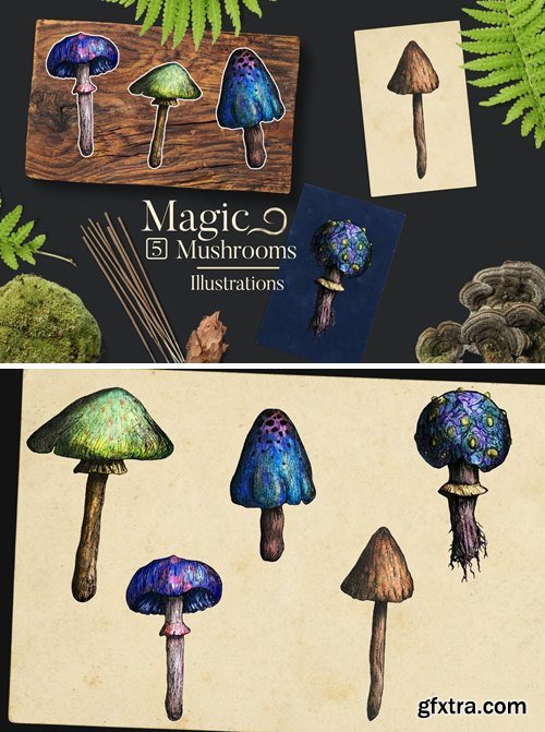 Magic Mushrooms Illustrations