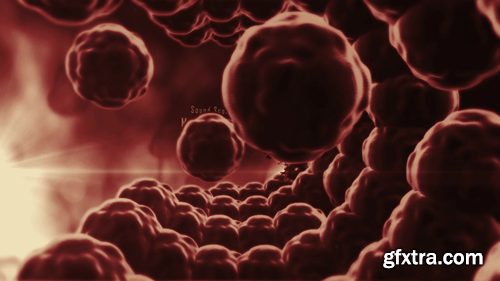 f-113311-1603 f-113311-1603