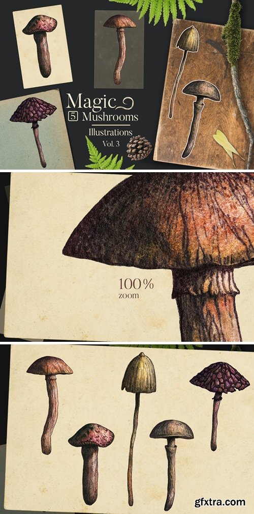 Magic Mushrooms Illustrations 3