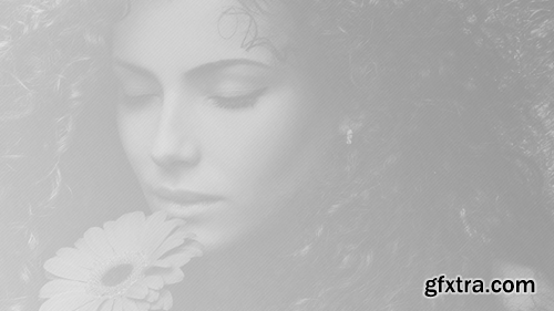 f-113528-0726 f-113528-0726