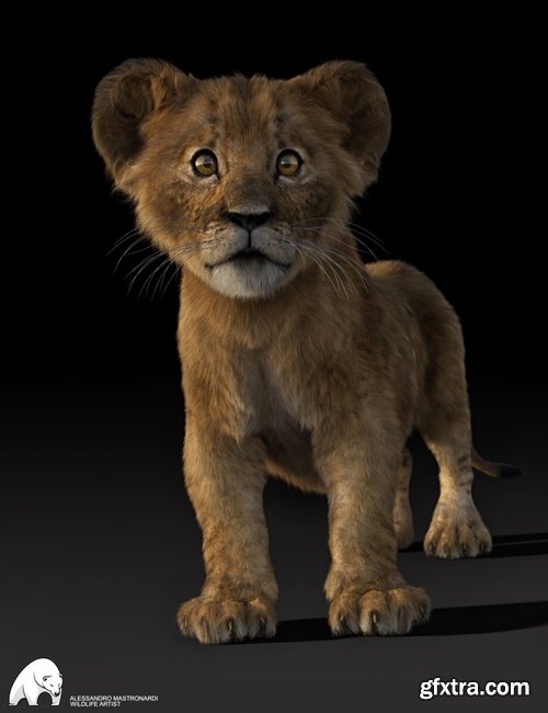 Daz3D - Felidae by AM - Kimbo the Lion Cub