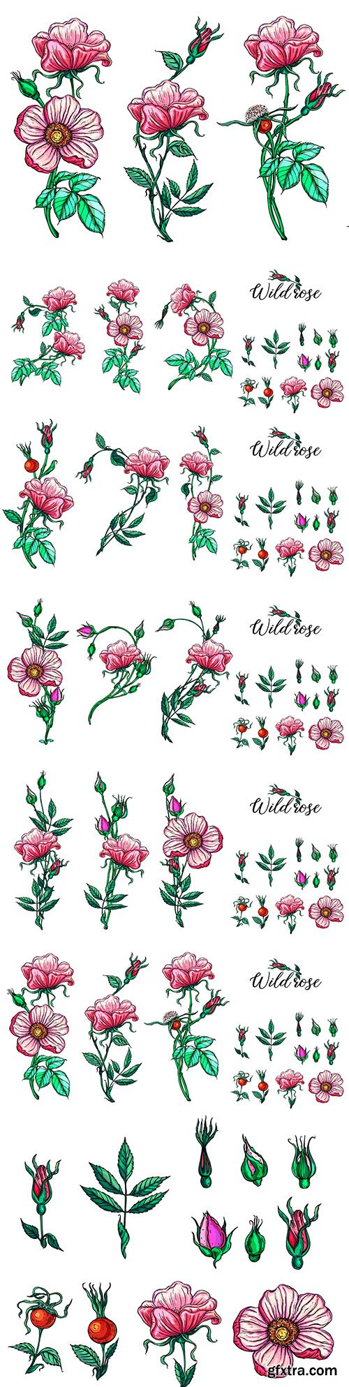 Pink roses and buds set floral compositions design
Pink roses and buds set floral compositions design