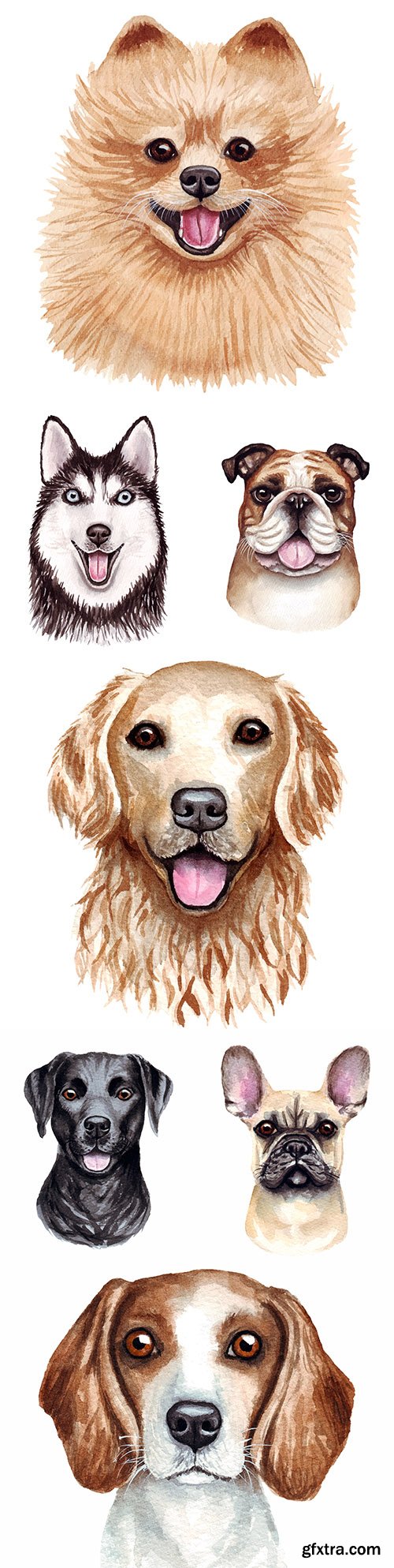 Popular dog of different breed watercolor illustrations
Popular dog of different breed watercolor illustrations