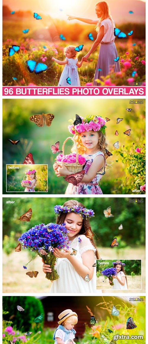 Butterfly Overlay, Butterflies Photoshop 3939901 Butterfly Overlay, Butterflies Photoshop 3939901