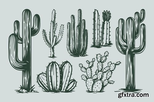Cactus Hand Drawing