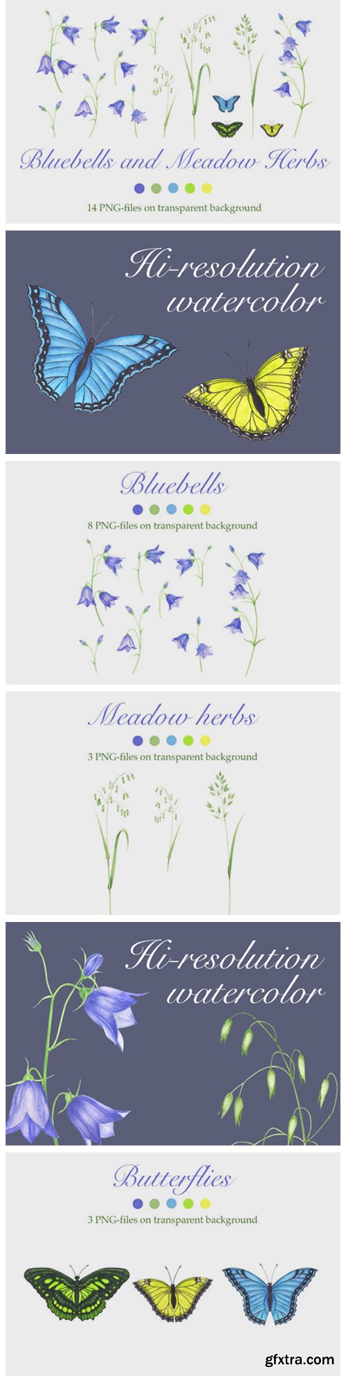 Bluebells and Meadow Herbs 3962829