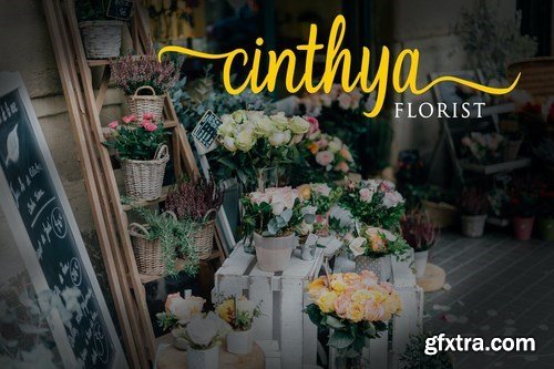 Christmas - Modern Calligraphy Font