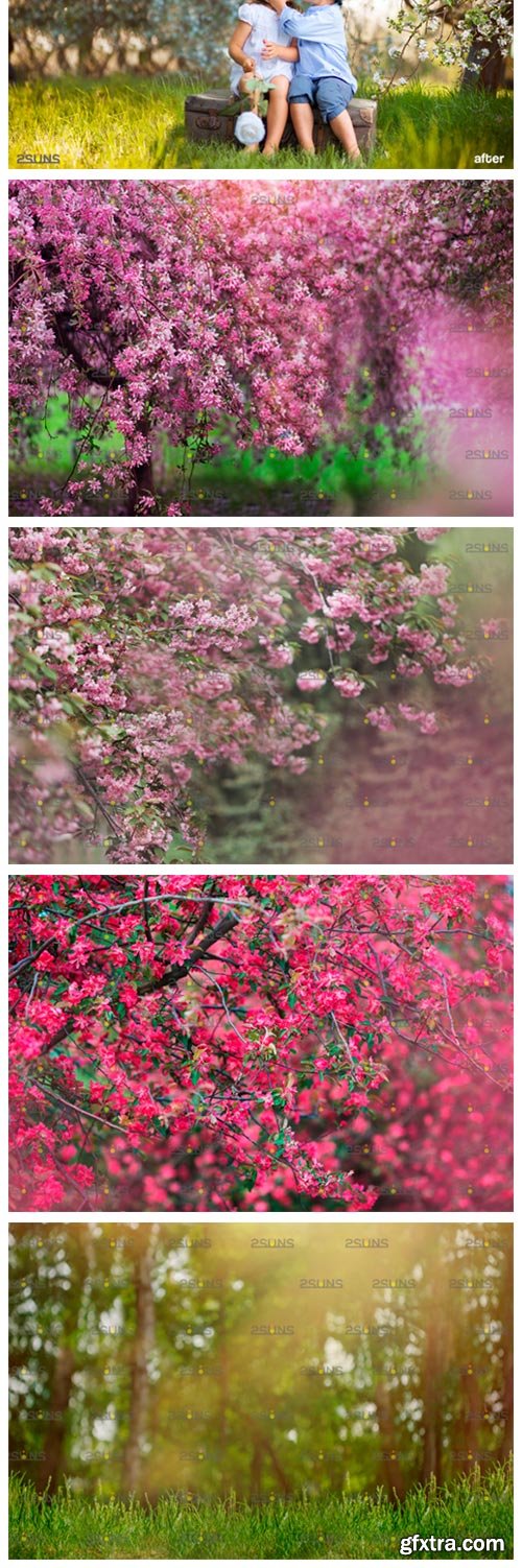 Summer Backdrop, Photoshop Overlay 3972961