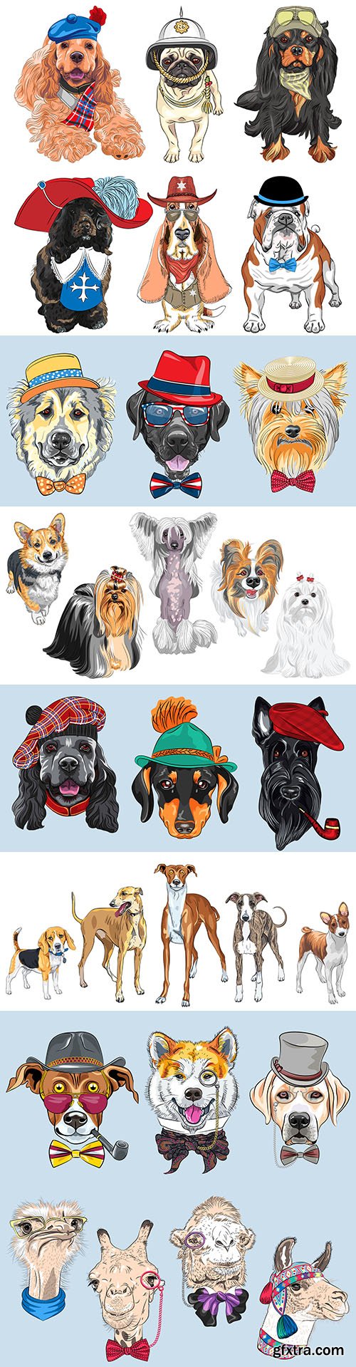 Dogs of different breeds and cartoon hipster hats
