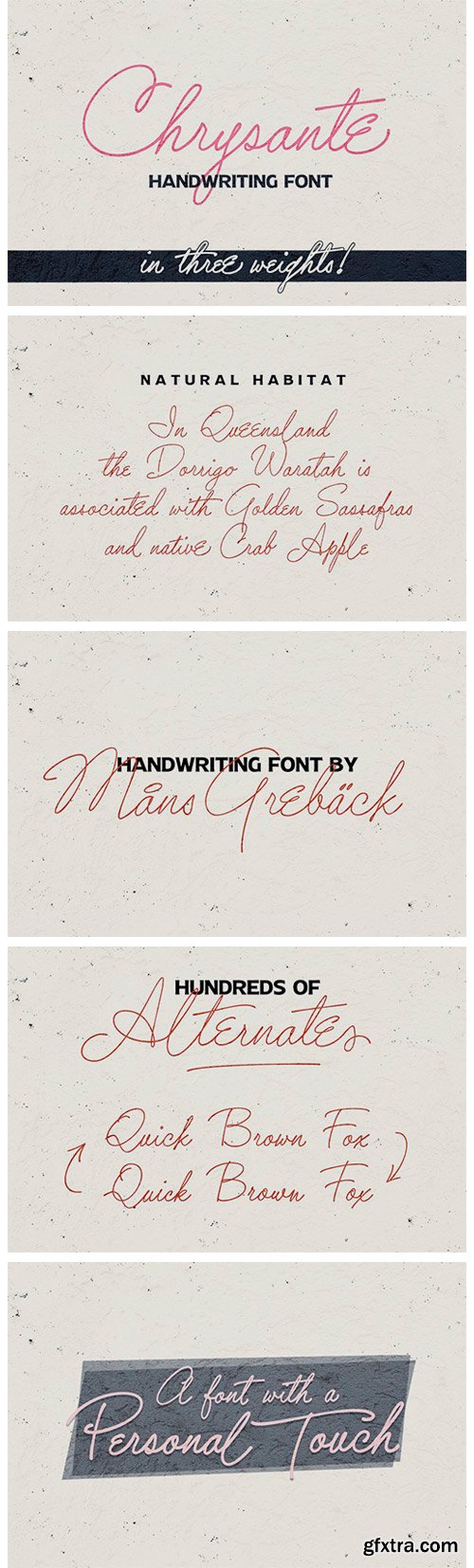 Chrysante Font Family