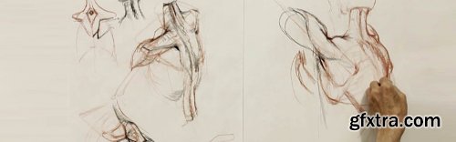 Drawing the Shoulder Girdle With Glenn Vilppu 