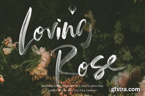 Font Bundle - Limited Time