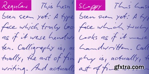 Biro Script Plus Complete Family